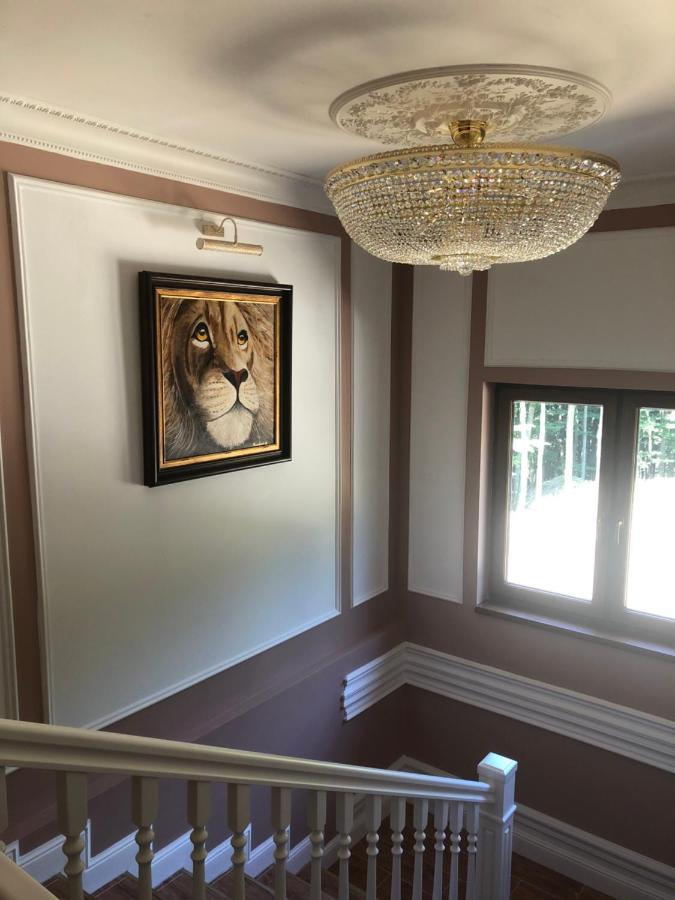 Hotel Galeria Pezinska Baba ペジノク エクステリア 写真